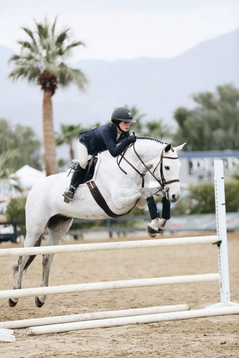 Horse Riding School, Woman Jumping, Hunter Horse, Horse Magazine, Show Jumping Horses, Equestrian Aesthetic, Cute Horse Pictures, Horse Aesthetic, Sport Horse