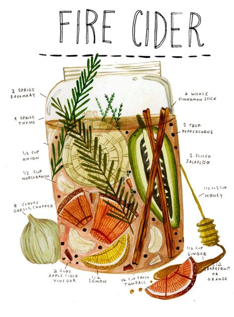 Fire Cider Recipe, Homemade Garden, Kitchen Witch Recipes, Fire Cider, Cider Recipe, Herbal Recipes, Herbal Apothecary, Natural Healing Remedies, Herbal Healing