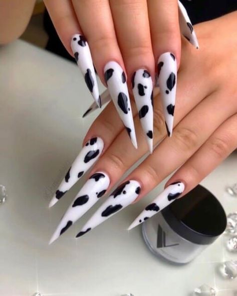 Black And White Nail, Black And White Nail Art, Long Stiletto Nails, Cow Nails, Stiletto Nails Designs, White Nail Art, Her Nails, White Nail, Fire Nails