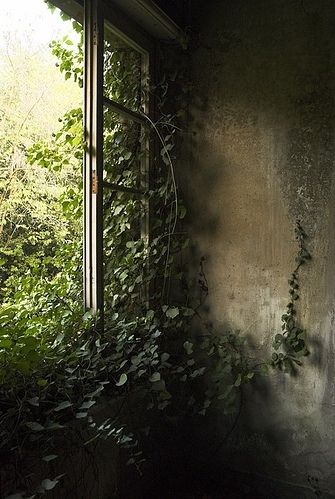 abandoned, decay, other, overgrown, overgrowth, room Room Vines, Witch Cottage, Outside World, Open Window, Abandoned Buildings, Nature Aesthetic, Green Aesthetic, Abandoned Places, My Garden