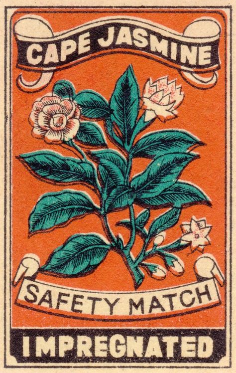 Japanese matches - Cape Jasmine Etiquette Vintage, Weekly Inspiration, Matchbook Art, Matchbox Art, Safety Matches, Vintage Packaging, Design Fields, Japanese Graphic Design, Vintage Graphic Design