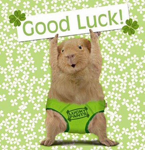 Hey, I wanted to Wish You Good Luck today! Why? Because wishing you good luck helps you perform better. It’s true! Multiple research studies prove it. So ask someone to wish you luck right before a presentation, asking for a raise, a date or going for it in general!   Give it a try. Pass along a good luck wish by posting this to your FB page. Your friends and their performance will thank you! Goodluck Message, Good Luck For Exams, Good Luck Today, Good Luck Wishes, Wish You Luck, Good Luck New Job, Exam Quotes, Good Luck Symbols, Exam Motivation