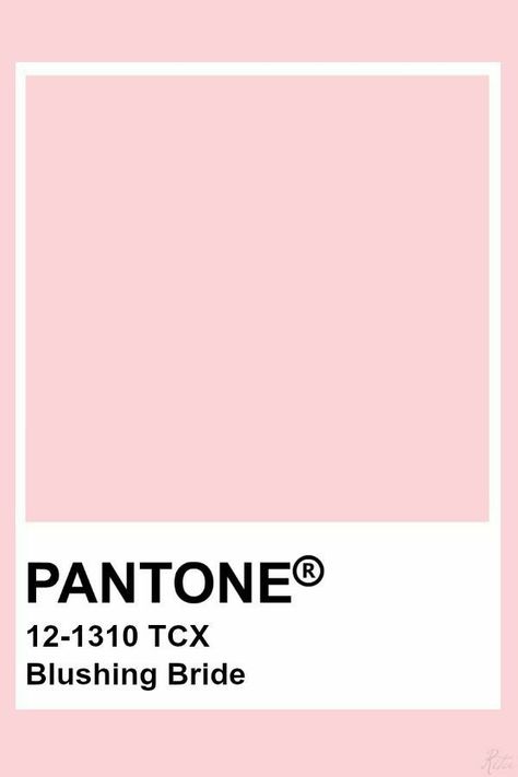 Pantone Blushing Bride, Pink Wall Color Palette, Blush Pink Color Swatch, Blush Pink Swatch, Pantone Colour Palettes Pink, Pantone Pastel Pink, Pale Pink Pantone, Soft Pink Pantone, Pink Pantone Colors