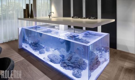 Island with a View: Dutch Kitchen Incorporates Elegant Aquarium Kitchen Island Upgrade, Board Room Design, Sink Island, Kitchen Cabinet Organization Layout, Dutch Kitchen, Unique Sinks, Amazing Aquariums, Aquarium Design, Miscellaneous Items