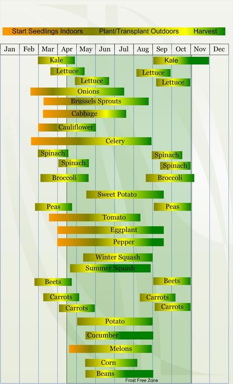 Monthly Gardening Calendar Zone 8 may produce a template to integrate the target of the excursion, with a section comprising reminders for Customize your little business travel planner... Vegetable Planting Calendar, Gardening Calendar, Vegetable Planting, Seedlings Indoors, Planting Calendar, Gardening Zones, Balcony Flowers, Zone 7, Fall Vegetables