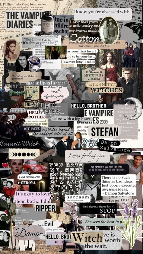 #vampirediaries #tvd #tvdu #elenagilbert #stefansalvatore #damonsalvatore #ninadobrev #paulwesley #iansomerhalder Netflix Shows To Watch, Vampire Diaries Poster, Vampier Diaries, Vampire Diaries Stefan, Vampire Movies, Iphone Wallpaper Landscape, Vampire Diaries Wallpaper, Cute Diy Room Decor, Vampire Diaries Damon