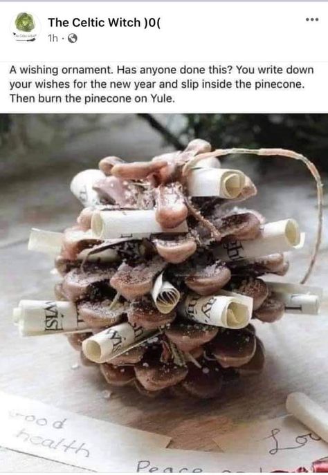 So, I was looking for an activity to do related to Yule. I came to find wish pine cones. What you’ll need: •pinecone 🌲 •paper 📄 •matches/lighter 🔥 •ribbon/string What you’ll do: Write a wish or something to manifest for the holidays on the paper. Roll the paper up and slide it in between the pinecone pieces (idk what they’re called! 😅). Hand it up on a tree or decorate your altar. On Yule, take a lighter or match and burn it, releasing it i... Cone Fireplace, Fireplace Candle, Yule Traditions, Yule Celebration, Winter Solstice Celebration, Solstice Celebration, Eclectic Witch, Witchy Crafts, Witch Spell Book