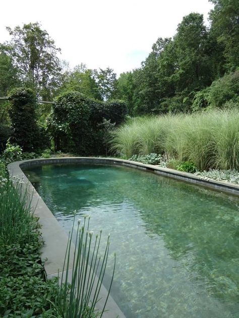 Natural pool in green Swimming Pond, Natural Swimming Pools, Natural Swimming Pool, Dream Pools, Beautiful Pools, Natural Pool, Swimming Pool Designs, Food Garden, Garden Pool