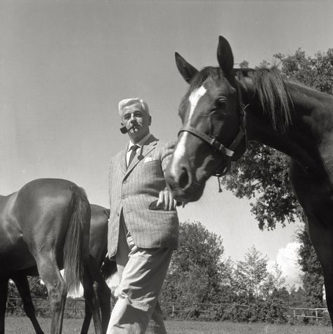 Ben Johnson, John Miller, James Cagney, Steve Mc, Team Roping, William Faulkner, Mc Queen, Toni Morrison, Western Movie