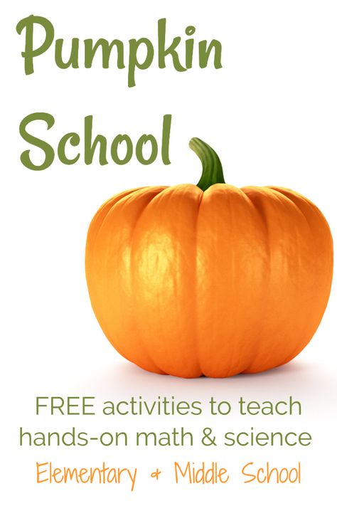 Pumpkin School: Math and Science Activities for Autumn - Our Journey Westward Middle School Pumpkin Activities, Pumpkin Activities For Fourth Grade, Pumpkin Science Middle School, Pumpkin Math Middle School, Pumpkin Homeschool Lesson, Pumpkin Lessons, Pumpkin Science, Pumpkin Math, Pumpkin Unit