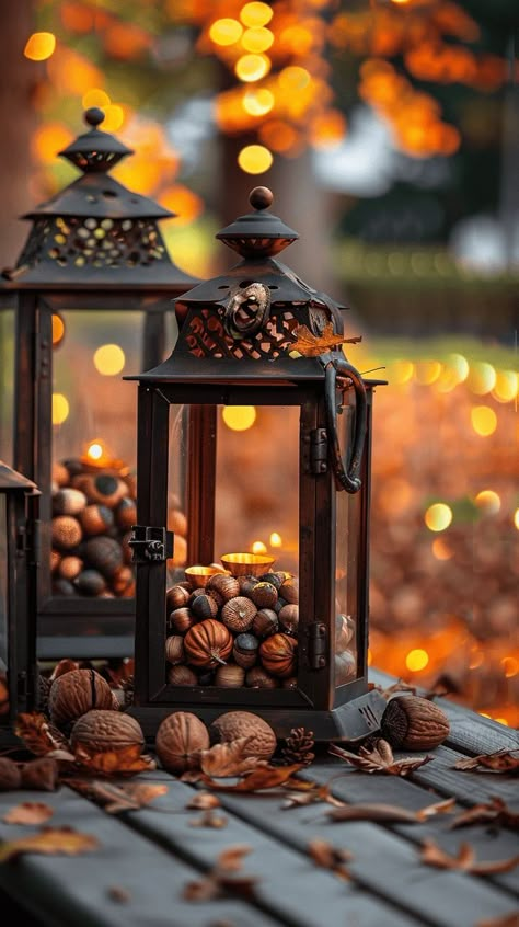 Fall Lantern Decor Ideas, Fall Lantern Decor, November Images, November Mood, November Aesthetic, Fall Lantern, Lantern Decor, Autumn Love, Unique Fall