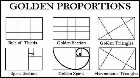 Proportion In Art, Proportion Design, Golden Drawing, Proportion Art, Composition Rules, Golden Proportion, Istoria Artei, Golden Spiral, Fibonacci Sequence