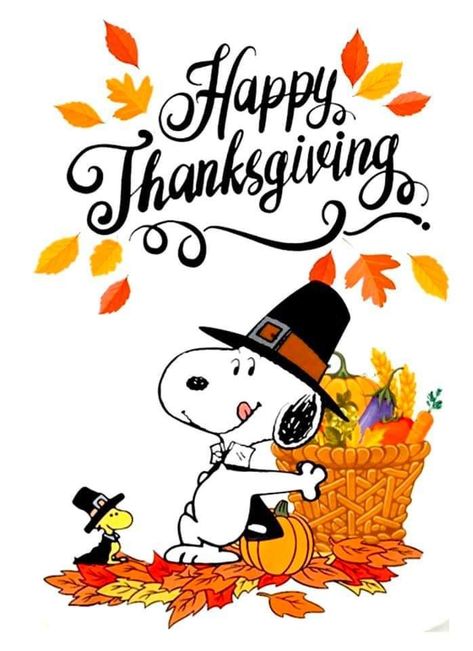 Thanksgiving Snoopy, Happy Thanksgiving Wallpaper, Peanuts Thanksgiving, Happy Thanksgiving Pictures, Charlie Brown Thanksgiving, Happy Thanksgiving Images, Thanksgiving Time, Thanksgiving Pictures, Thanksgiving Wishes