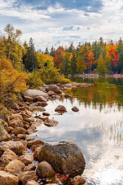 Planning to spend one day in Acadia National Park? Follow this ultimate one day Acadia National Park itinerary to see the best of the park in just one day! | Acadia National Park photography | Acadia National Park fall itinerary | Best hikes in Acadia National Park | Acadia National Park aesthetic | Things to do in Acadia National Park | Acadia National Park Beehive trail | Acadia National Park Maine hiking | Best places to stay near Acadia National Park | What to do in Acadia National Park Acadia National Park Photography, Fall Itinerary, Acadia National Park Fall, National Park Aesthetic, Arcadia National Park, Maine Hiking, Maine Trip, National Park Photography, Vacay Ideas