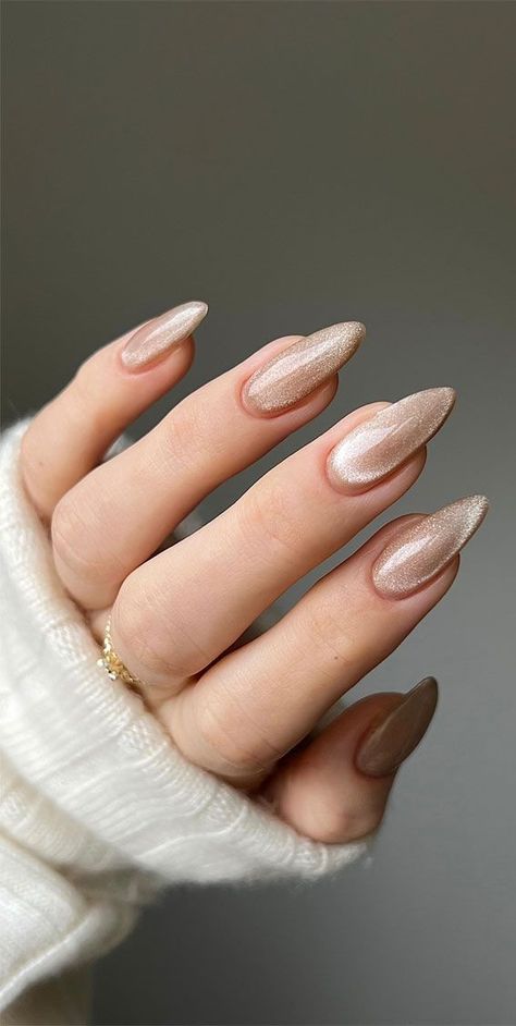 Minimal Nye Nails, Classy Black Nails Almond, Nude Velvet Nails, Nye Nail Ideas Almond, Beige Cat Eye Nails, Champagne Cat Eye Nails, Nude Nails Design 2024, Nude Christmas Nail Designs, Uñas Delicadas Y Sencillas