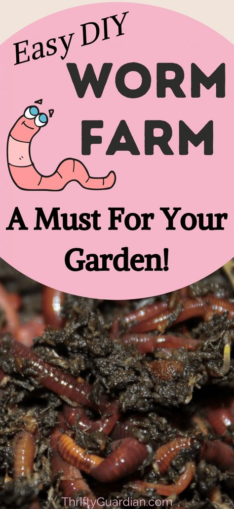 Diy Worm Farm, Earthworm Farm, Vermicomposting Worm Farm, Compost Worms, Worm Farm Diy, Worm Beds, Garden On A Budget, Worm Farming, Fishing Worms