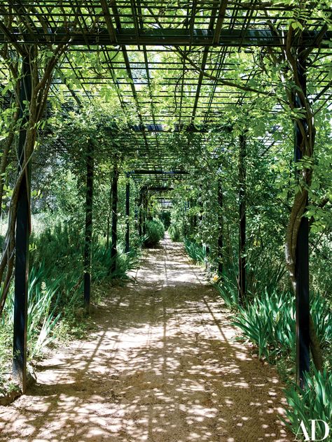 A Noble Spanish Family Restores Its Ancestral Home | Architectural Digest Garden Styling, Backyard Decks, Spanish Family, Batting Cage, Spanish Garden, Toledo Spain, Garden Inspo, House Backyard, Garden Arbor