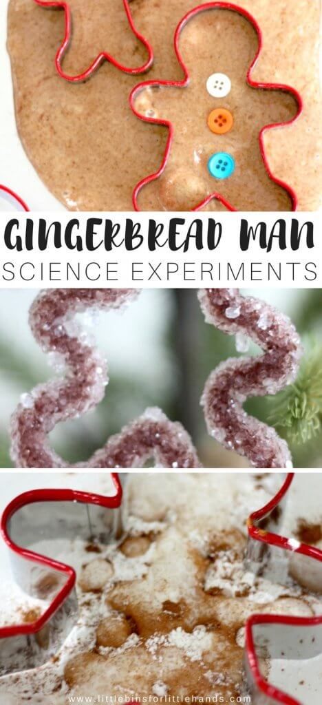 Gingerbread Stem Activities, Gingerbread Man Science, Gingerbread Man Stem, Gingerbread Man Math Activities, Gingerbread Man Games, Preschool Gingerbread, Gingerbread Man Unit, Prek Christmas, Christmas Science Activities