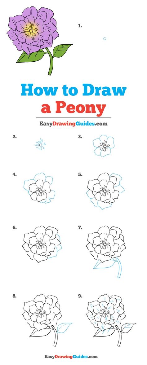 Learn How to Draw a Peony: Easy Step-by-Step Drawing Tutorial for Kids and Beginners. #Peony #DrawingTutorial #EasyDrawing See the full tutorial at https://easydrawingguides.com/how-to-draw-a-peony/. How To Draw Peony Step By Step, How To Draw Peony, Peony Doodle, How To Draw Peonies, Flowers Drawing Step By Step, Draw Peonies, How To Draw Flowers Step By Step, Draw Peony, Draw A Peony