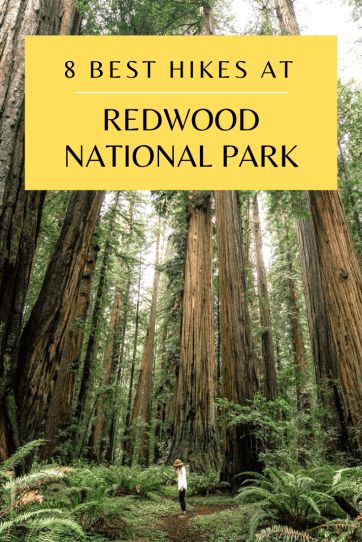 Looking for the BEST hikes in Redwood National Park? We have you covered. Here's a list of the 8 BEST hikes in Redwood National Park, along with photos!  #redwoodnationalpark #redwood #nationalparks #visitcalifornia #besthikes Zion National Park Hikes, Redwood National And State Parks, Portland Travel, National Park Travel, Redwood National Park, Hiking National Parks, Redwood Forest, California Travel Road Trips, Visit California