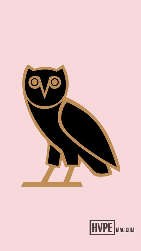 Drake Ovo Wallpaper, Ovo Aesthetic Wallpaper, Ovo Wallpaper Iphone, Drake Owl, Ovo Wallpaper, Owl Wallpaper Iphone, Ovo Drake, Drake Ovo, Wallpapers Ideas