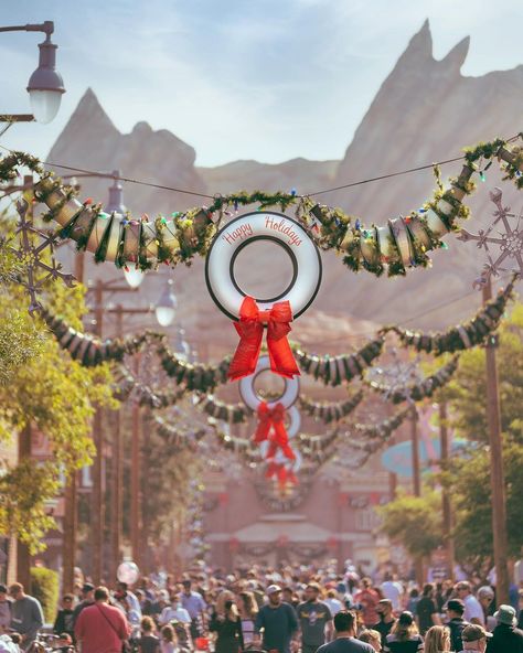 Matthew Gerard on Instagram: “🎄Happy Holidays From Radiator Springs! 🚘 Cars Land is always top notch when it comes to holiday overlays! 🎄 • • • • #disneyland…” Cars Land Christmas, Radiator Springs Aesthetic, Radiator Springs, Aesthetic Garden, Cars Land, Christmas Things, Disney Pixar Cars, Pixar Cars, Theme Parks