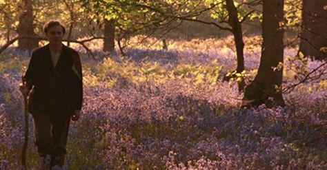 Leonard Bast's dream - Howard's End - Merchant Ivory (1992) Howards End, Howard End, Vanessa Redgrave, Fritz Lang, Purple Bedroom, Movies Worth Watching, Style Bubble, Twelfth Night, Winter's Tale