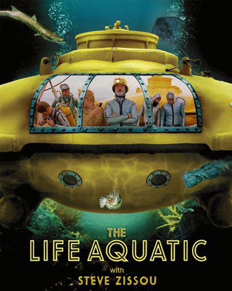 Central Intelligence Movie, Life Aquatic With Steve Zissou, Types Of Movies, Tv Poster, The Life Aquatic, Steve Zissou, Wes Anderson Movies, Anjelica Huston, The Royal Tenenbaums