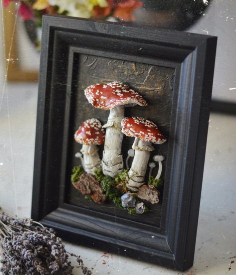 Mushrooms Framed, Toadstools Amanita Muscaria 3D Witches Wall Art, Vintage Home Wall Decor - Etsy Dried Mushroom Art, Mushroom Frame, Mushroom Room, Frames Ideas, Amanita Muscaria, Driftwood Wall Art, 3d Decor, Mushroom Decor, Dark Interiors