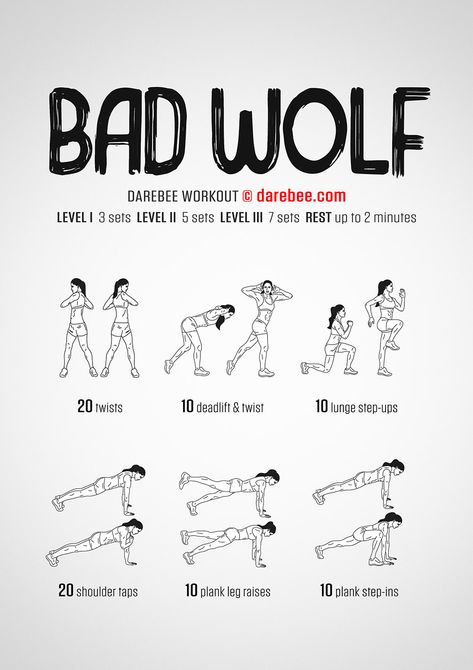 Bad Wolf Workout Wolf Workout, Darebee Workout, Hiit Benefits, Exercise Goals, Fatloss Transformation, Superhero Workout, Fitness Blogs, Workouts For Women, Plank Exercises