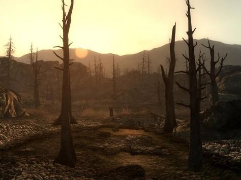 Ghoul Aesthetic Fallout, Fallout Astethic, Fallout New Vegas Screenshots, Fallout Ghoul Aesthetic, Raider Aesthetic Fallout, Nuclear Warfare Aesthetic, Nuclear Fallout Aesthetic, Fallout Moodboard, Fallout Screenshots