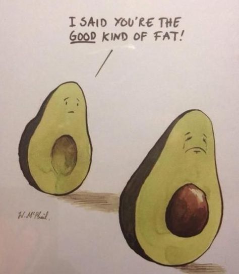 You already know they have tons of cals, but you also know they are the good type of fat. | 17 Ways You Know Avocados Rule Your Life Dietitian Humor, What I Like About You, Humor Mexicano, Friday Humor, Workout Humor, Good Fats, E Card, Bones Funny, New Girl