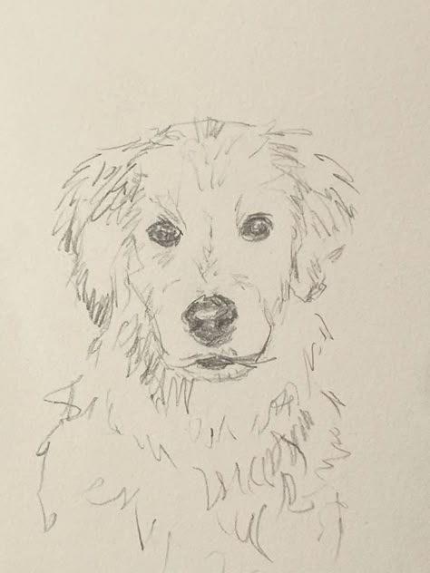 Dog Drawing Color, Pet Sketch Drawings, Dog Simple Sketch, Dog Sketch Tutorial, Dog Sketch Ideas, Dog Drawing Detailed, Art Diary, Doodle Art Designs, Sketch Painting