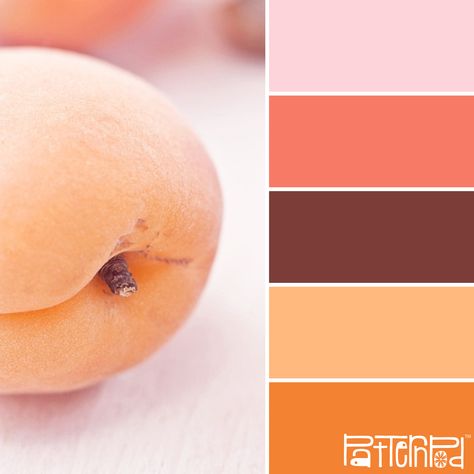 Soft Apricot #patternpod #patternpodcolor #color Bedroom Color Schemes, Design Seeds, Color Harmony, Color Balance, Color Inspo, Colour Board, World Of Color, Colour Schemes, Color Pallets