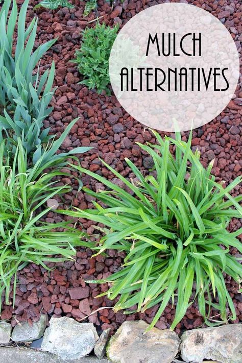 Boost curb appeal to your home with alternatives to traditional landscape materials! Mulch Alternatives, Adding Curb Appeal, Mulch Landscaping, Making Plant Pots, Country Chic Cottage, Landscaping With Large Rocks, Landscape Plans, Traditional Landscape, Landscape Materials