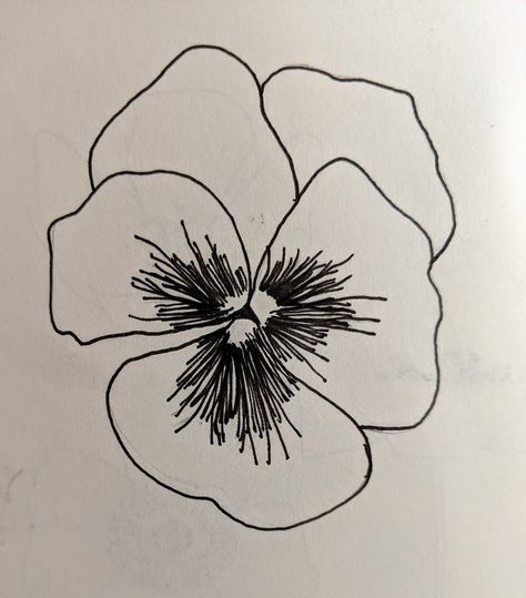 Pansy Drawing Simple, Wild Pansy Tattoo, Pansy Tattoo Black And White, Pansy Sketch, Pansie Tattoo, Pansies Drawing, Pansy Tattoos, Pansy Flower Tattoo, Pansy Illustration