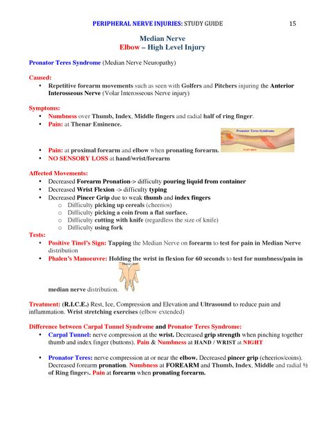 Peripheral Nerve Injuries Study Guide page 15 Nbcot Exam Prep, Peripheral Nerve Injury, Nbcot Exam, Nerve Injury, Occupational Therapy Schools, Pt School, Physical Therapy Student, Median Nerve, Physical Therapy Assistant