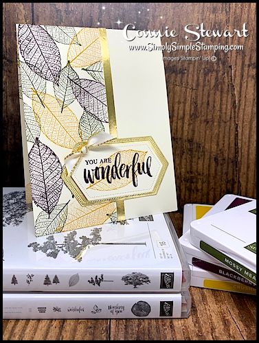 Leaf Cards, Nature Card, Hand Stamped Cards, Making Greeting Cards, Birthday Cards Diy, Stamping Up Cards, Fall Cards, Card Sketches, Card Layout