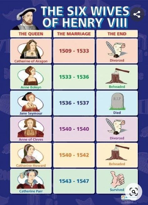 European Royal Family Tree, Six Wives Of Henry Viii, Queens Of England, Wives Of Henry Viii, Royal Family Trees, Henry Vii, Anne Of Cleves, History Posters, Six The Musical