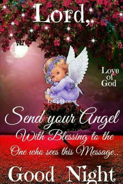 Lord Send your angel with blessings Good Night Angel, Evening Blessings, Good Night Family, Good Night Qoutes, Morning Thursday, Good Night Prayer Quotes, New Good Night Images, Blessed Night, Good Night Love Quotes