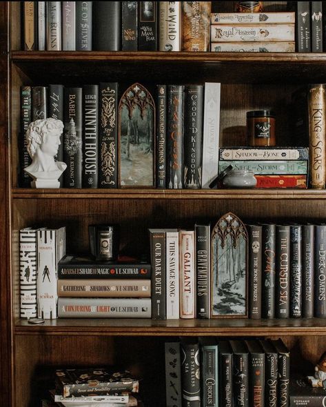 Book Shelf Dark Academia, Shelf Decor With Books, Thrifted Bookshelf, Room With Bookcase, Dark Bookshelf Styling, Appalachian Forest, Book Shelves Ideas, Dark Bookshelf, Bookcase Aesthetic