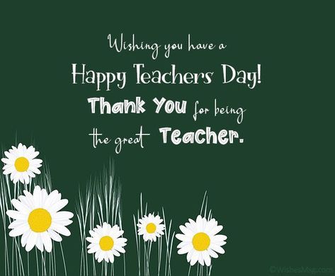 Happy Teachers Day Aesthetic, Happy Teachers Day Template, Happy Teacher's Day Wishes Messages, Happy Teachers Day Poster, Teachers Day Pictures, Teacher Day Wishes Quote, Happy Teachers Day Quotes, Happy Teachers Day Message, National Teachers Day