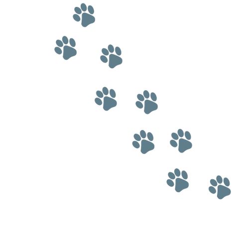 animal cat footprint - Free SVG Image & Icon. Cat Footprint, Free Silhouette Cut Files, Jean Quilt, Cat Paw Print, Cat Svg, Cricut Craft, Animal Cat, Free Cats, Image Icon