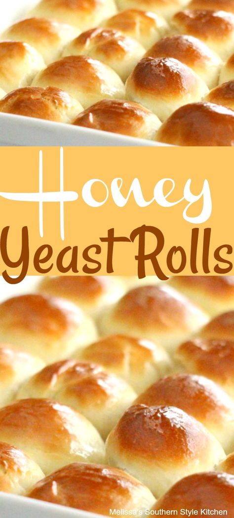 Yeast Rolls Easy, Honey Rolls Recipe, Honey Rolls, Honey Yeast Rolls, Dinner Rolls Recipe Homemade, Honey Dinner, Easy Yeast Rolls, Homemade Yeast Rolls, Yeast Rolls Recipe