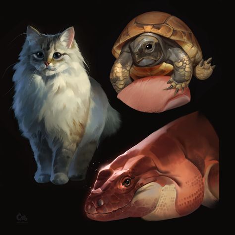 ArtStation - Warmup studies 3 Animal Study, Art Folder, Animal Sketches, First Place, Creature Design, Pet Portrait, Reason Why, Creature Art, Portrait Art