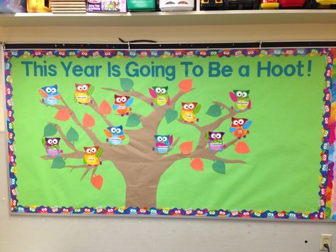 Owl theme bulletin board. Owl Bulletin Boards, September Bulletin Boards, Pinterest Tattoos, Welcome Bulletin Boards, Elementary Bulletin Boards, Kindergarten Bulletin Boards, September Activities, Preschool Boards, Owl Theme Classroom