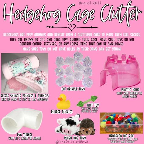 Toys For Hedgehogs, Hedgehog Care Guide, Hedgehog Habitat Ideas, Pygmy Hedgehog Cage, Diy Hedgehog Toys, Hedgehog Cage Ideas, Kibble Toppers, Hedgehog Cages, Hedgehog Pet Cage