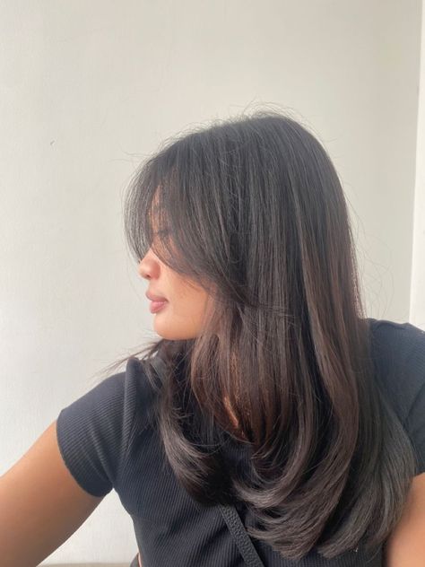 Layered Haircut With Curtain Bangs Asian, Haircut Curtain Bangs Long Hair, Curtain Bangs Asian Round Face, Haircuts For Medium Black Hair, Curtain Bangs Straight Hair Asian, Short Straight Thick Haircut, Simple Mid Length Haircut, Curtain Side Bangs Medium Hair, Layered Long Hair Round Face