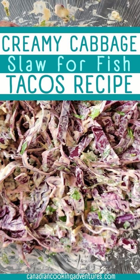 This Creamy Cabbage Slaw for Fish Tacos is the creamy and has hints of spice to it from the adobo sauce. Try this slaw with my Fried Fish Tacos, the two are a match made in heaven! Cabbage Slaw For Fish Tacos, Creamy Cabbage Slaw, Creamy Cabbage, Slaw For Fish Tacos, Fish Tacos Tilapia, Fried Fish Tacos, Adobe Sauce, Chicken Verde, Spicy Shrimp Tacos