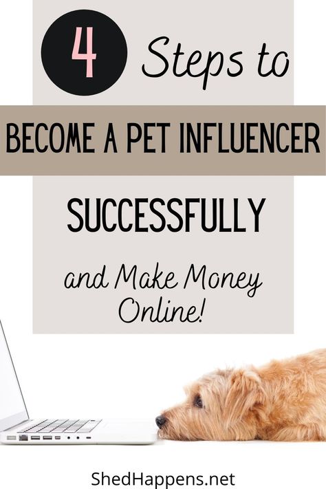 Instagram Content Ideas For Dogs, Pet Influencer Instagram, Pet Content Ideas, Dog Influencer Instagram, Dog Influencer Ideas, Dog Social Media, Pet Instagram Ideas, Pet Social Media, Dog Influencer